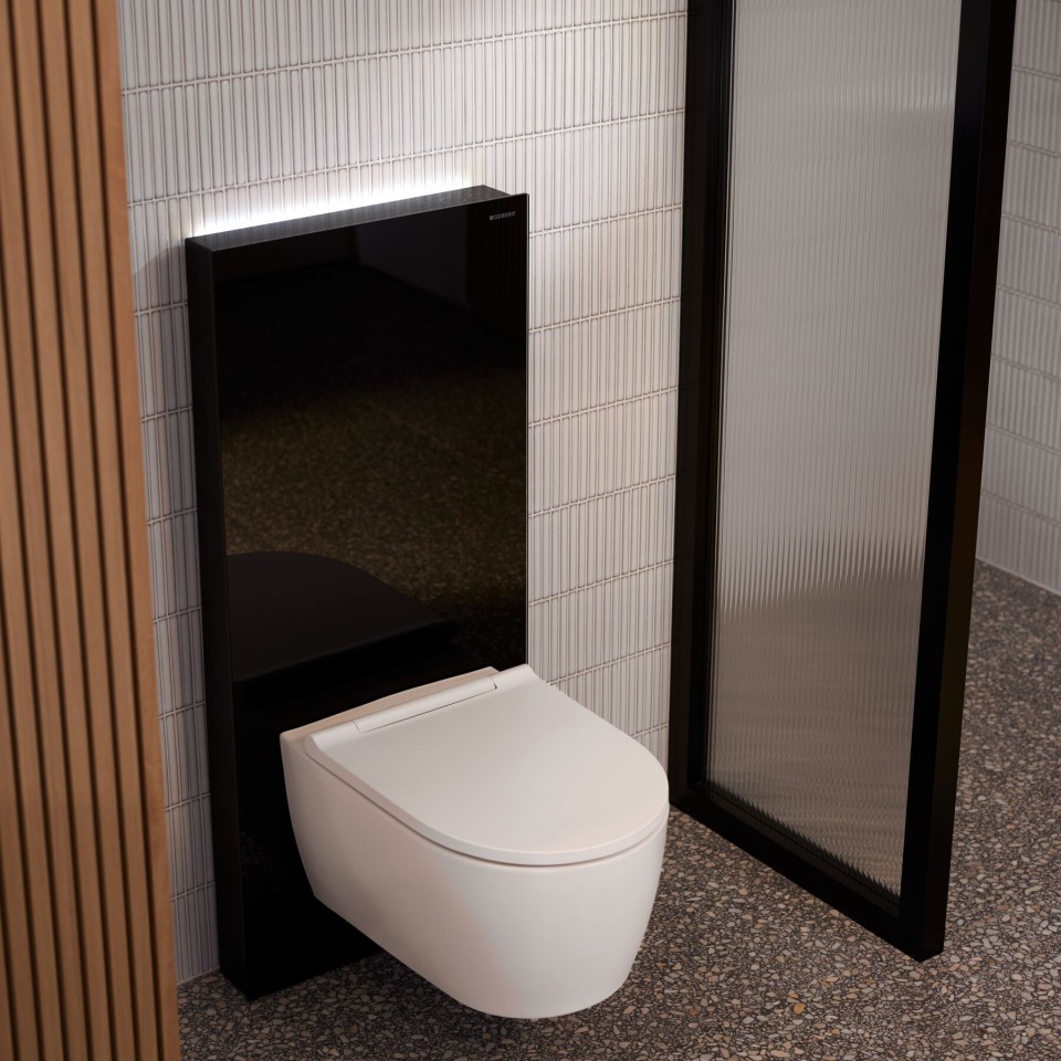 Geberit Monolith Plus -moduuli