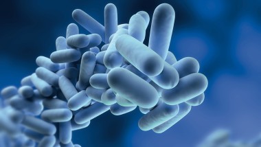 Juomavesihygienia, legionella