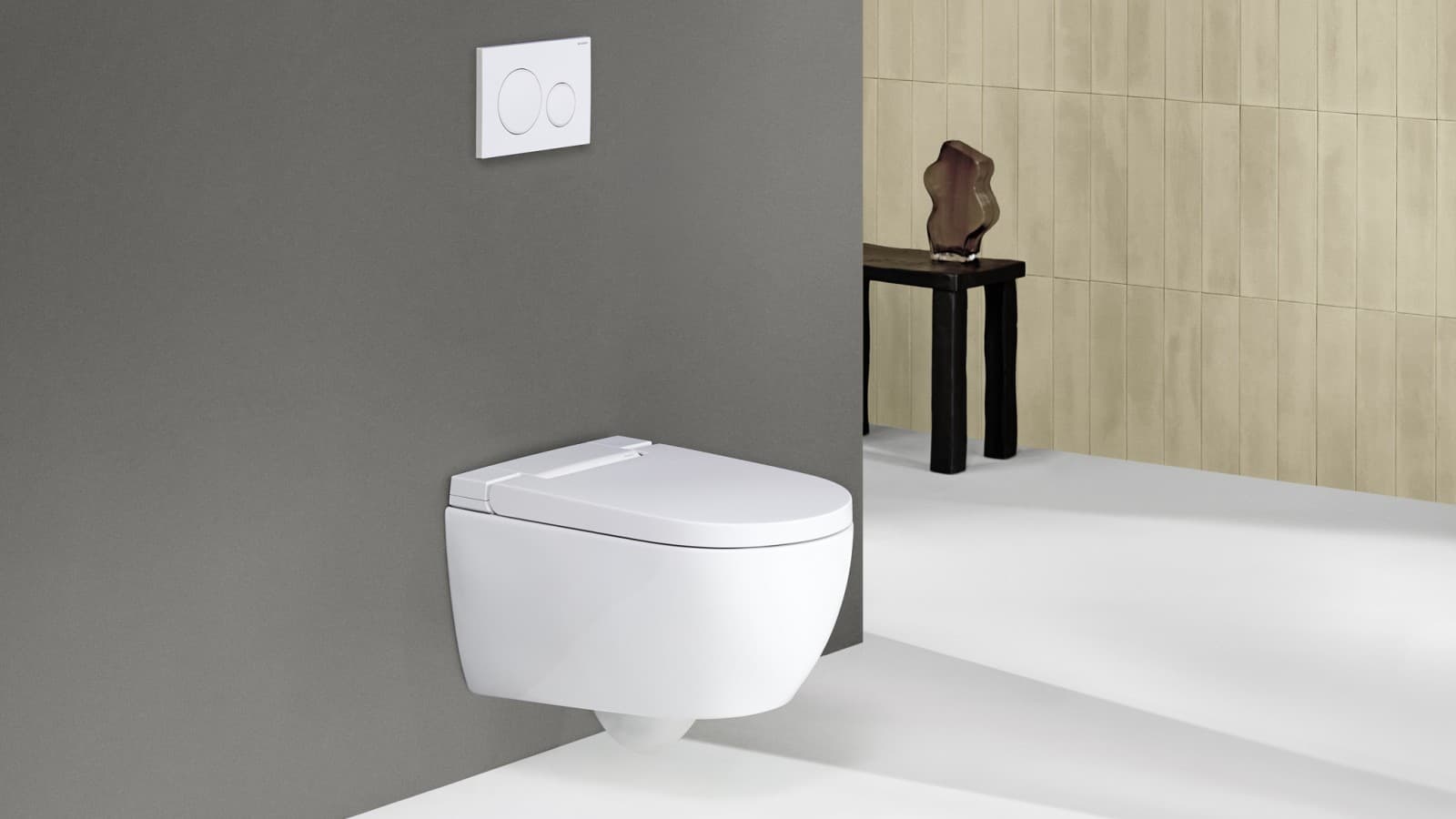 Geberit AquaClean Alba pesu-wc Geberit AquaClean Alba pesu-wc